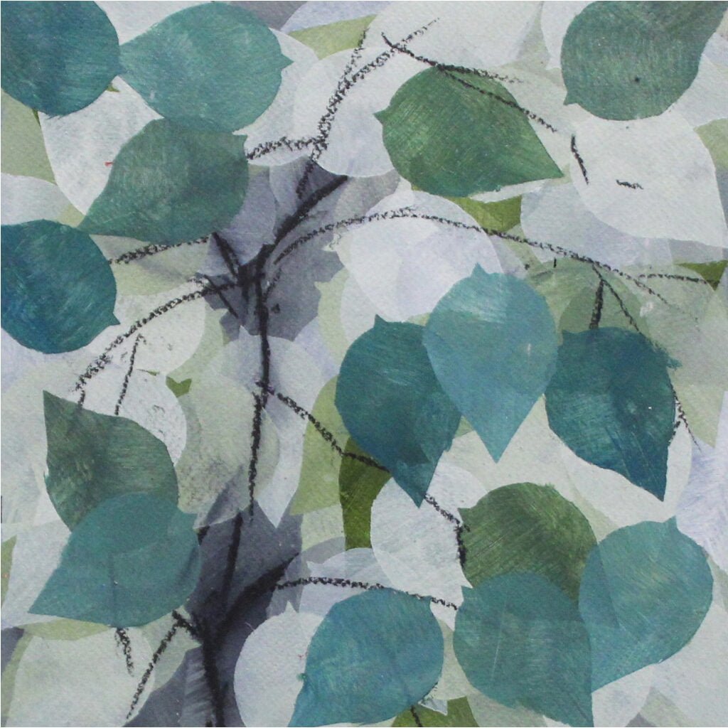 Rahim Mirza - Plant